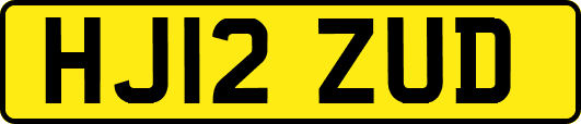HJ12ZUD
