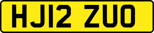 HJ12ZUO
