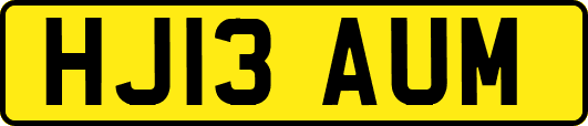 HJ13AUM