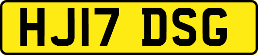HJ17DSG
