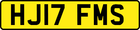 HJ17FMS