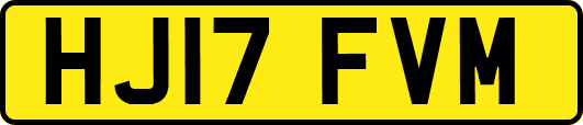 HJ17FVM