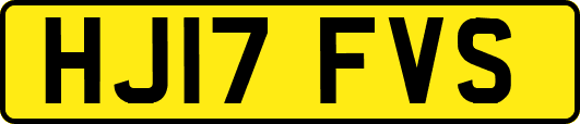 HJ17FVS