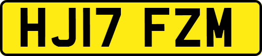 HJ17FZM