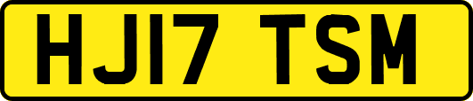 HJ17TSM