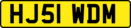 HJ51WDM