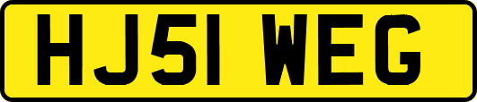 HJ51WEG