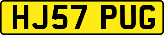 HJ57PUG