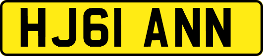 HJ61ANN