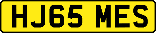 HJ65MES
