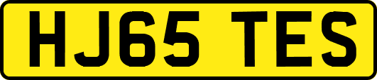 HJ65TES