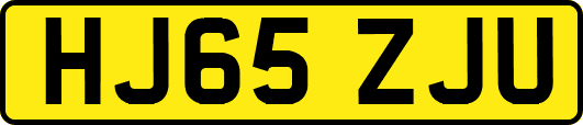 HJ65ZJU