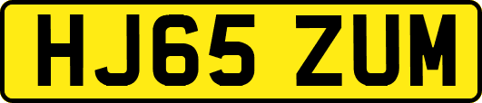 HJ65ZUM