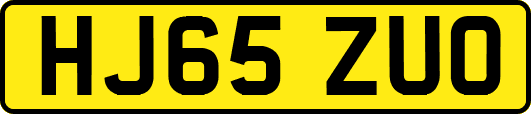 HJ65ZUO
