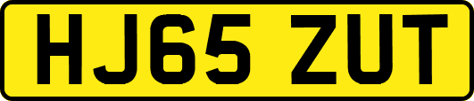 HJ65ZUT