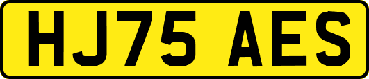 HJ75AES