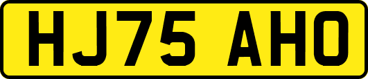 HJ75AHO