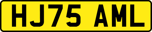 HJ75AML