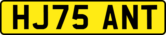 HJ75ANT