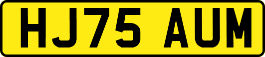 HJ75AUM