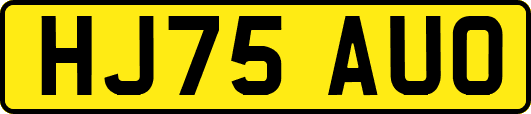 HJ75AUO