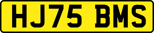 HJ75BMS