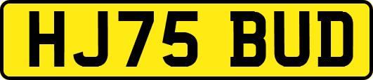 HJ75BUD