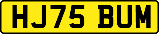 HJ75BUM