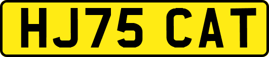 HJ75CAT