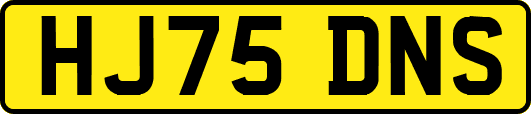 HJ75DNS