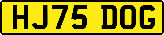 HJ75DOG