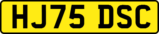 HJ75DSC