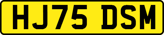 HJ75DSM