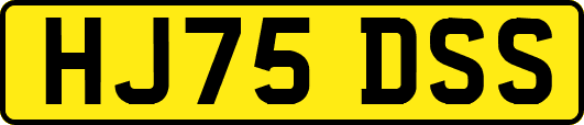 HJ75DSS