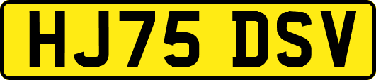 HJ75DSV