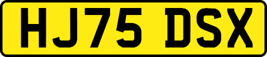 HJ75DSX