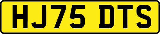 HJ75DTS