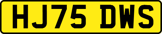 HJ75DWS