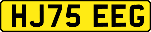HJ75EEG