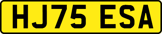 HJ75ESA