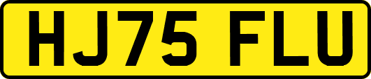 HJ75FLU