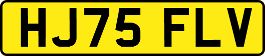 HJ75FLV