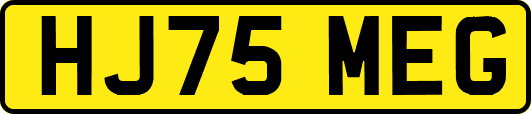 HJ75MEG