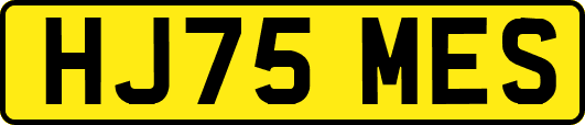 HJ75MES