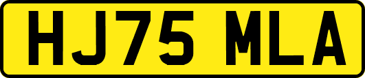 HJ75MLA