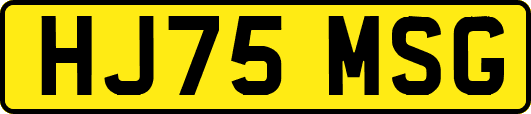 HJ75MSG