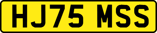 HJ75MSS