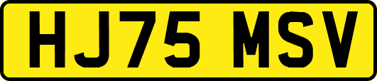 HJ75MSV