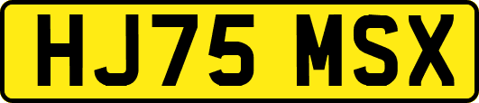 HJ75MSX