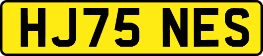 HJ75NES